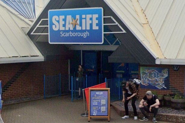 Sea Life Scarborough Scalby Mills Road Scarborough