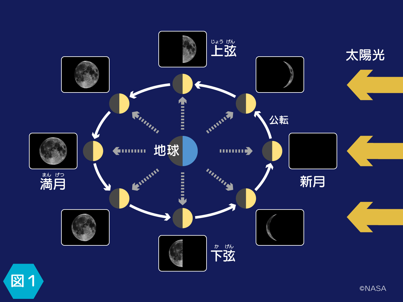 上弦の月と下弦の月の違いとは？光る向きと時間で即見分ける法則