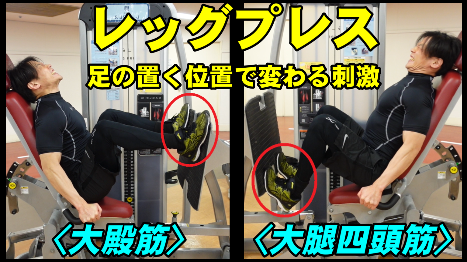 レッグプレスの足の位置で劇的変化！狙う部位別の配置と痛みを防ぐ秘訣