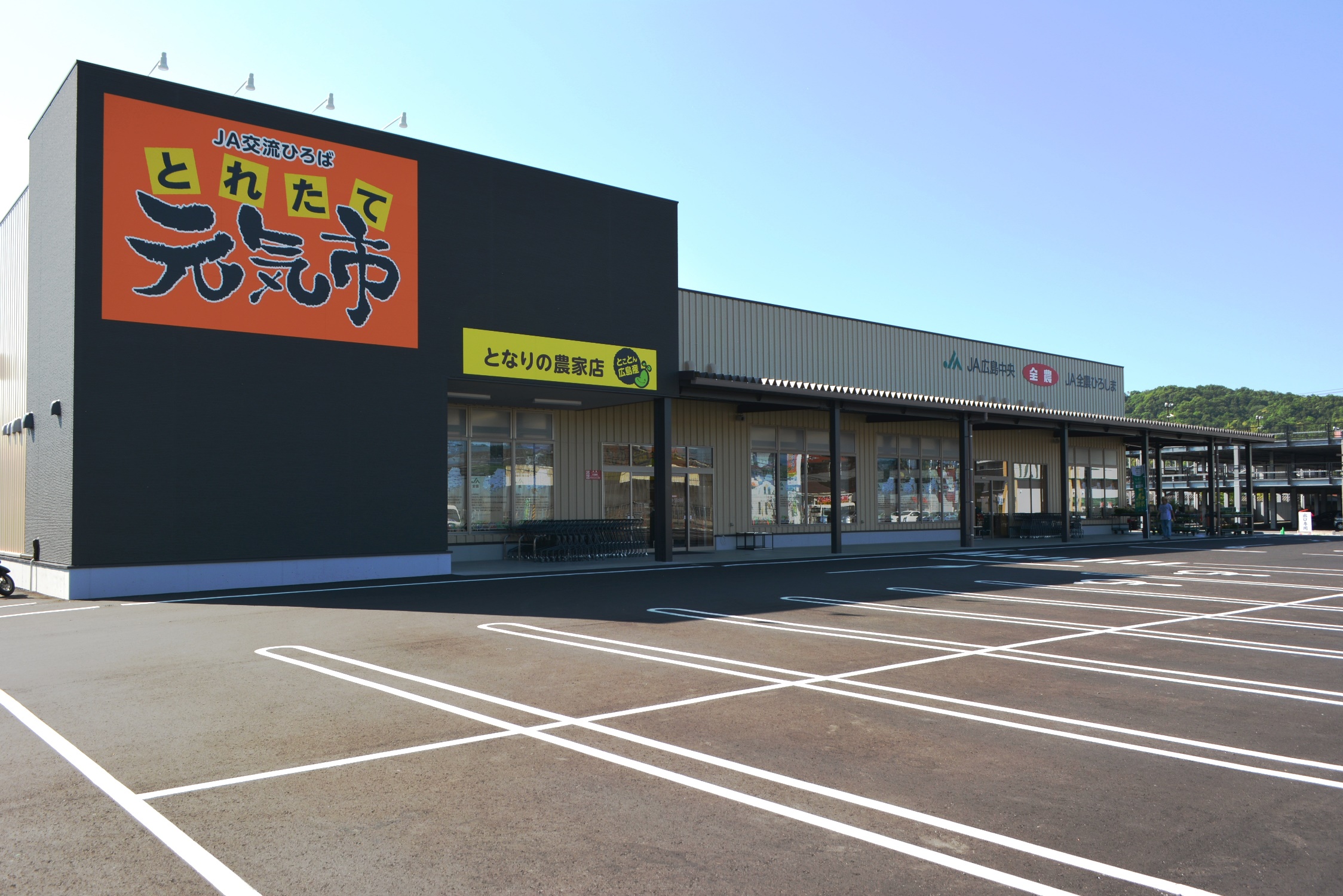 とれたて元気市となりの農家店が東広島で絶賛される理由【2026年】