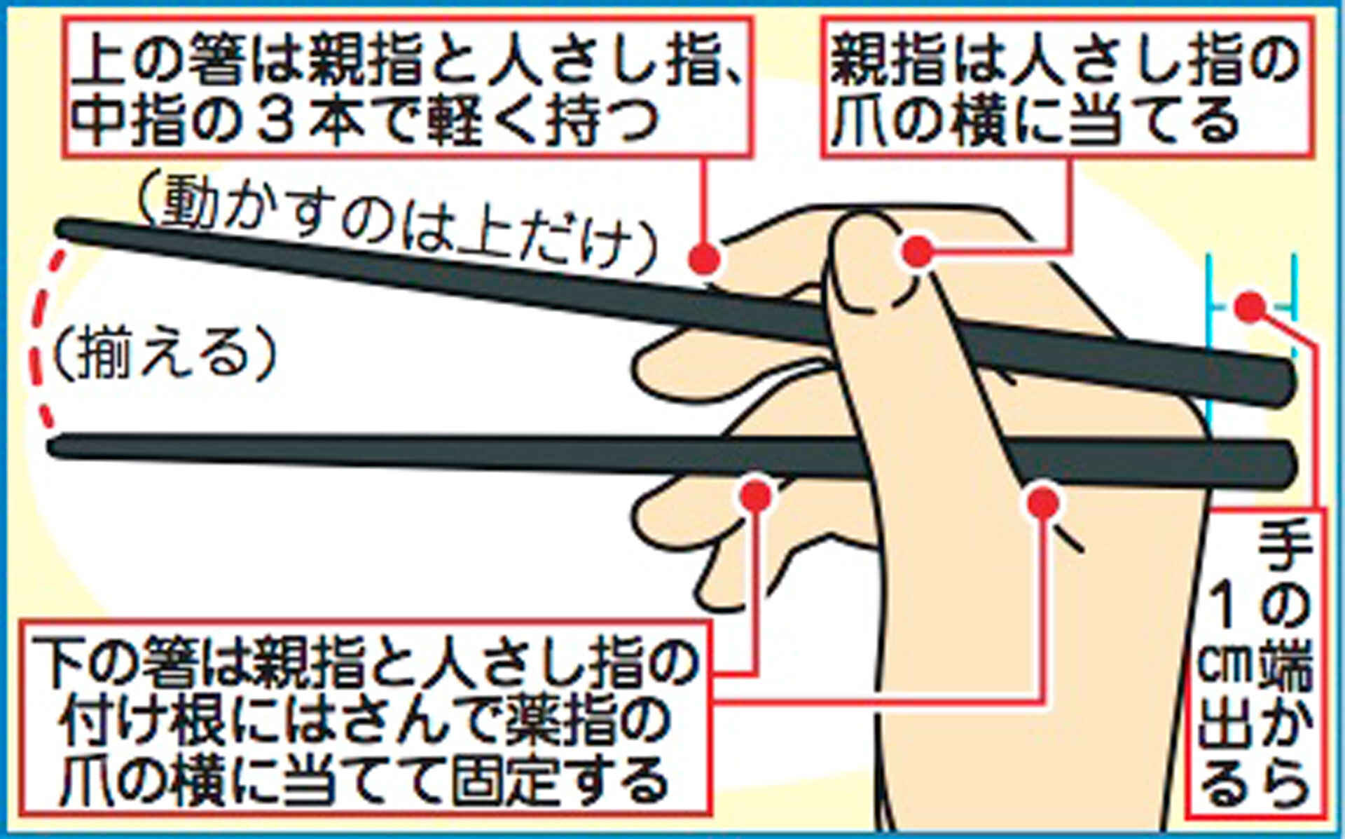 箸の持ち方が汚いと恋愛も破局？育ちが悪いと思われる理由と大人の直し方