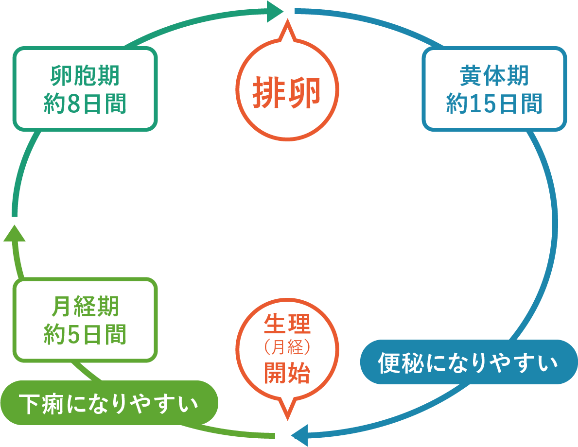 生理中の突然の下痢と腹痛！原因物質と即効対処法・婦人科受診の目安