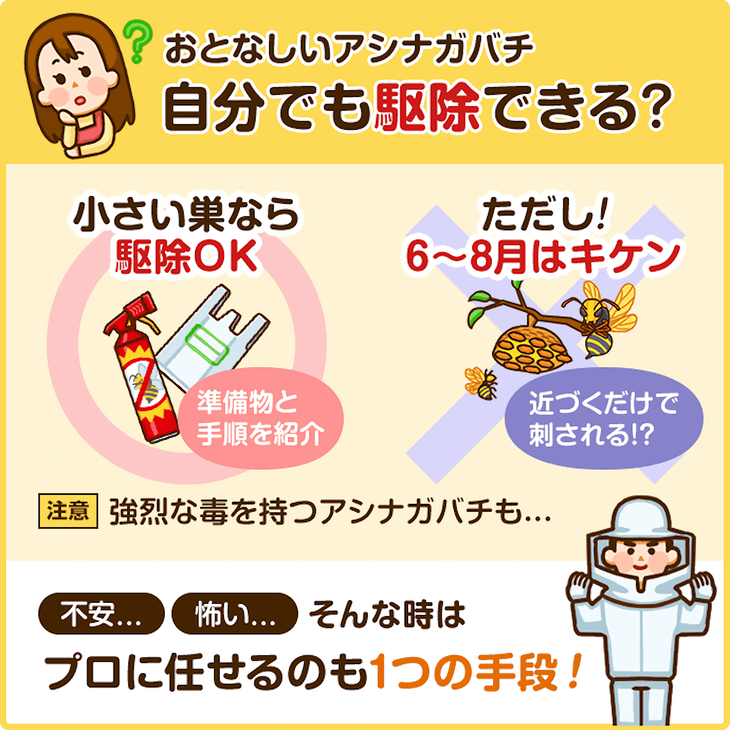 蜂の巣は自分で駆除できる？命を守る安全基準と夜間完全退治法