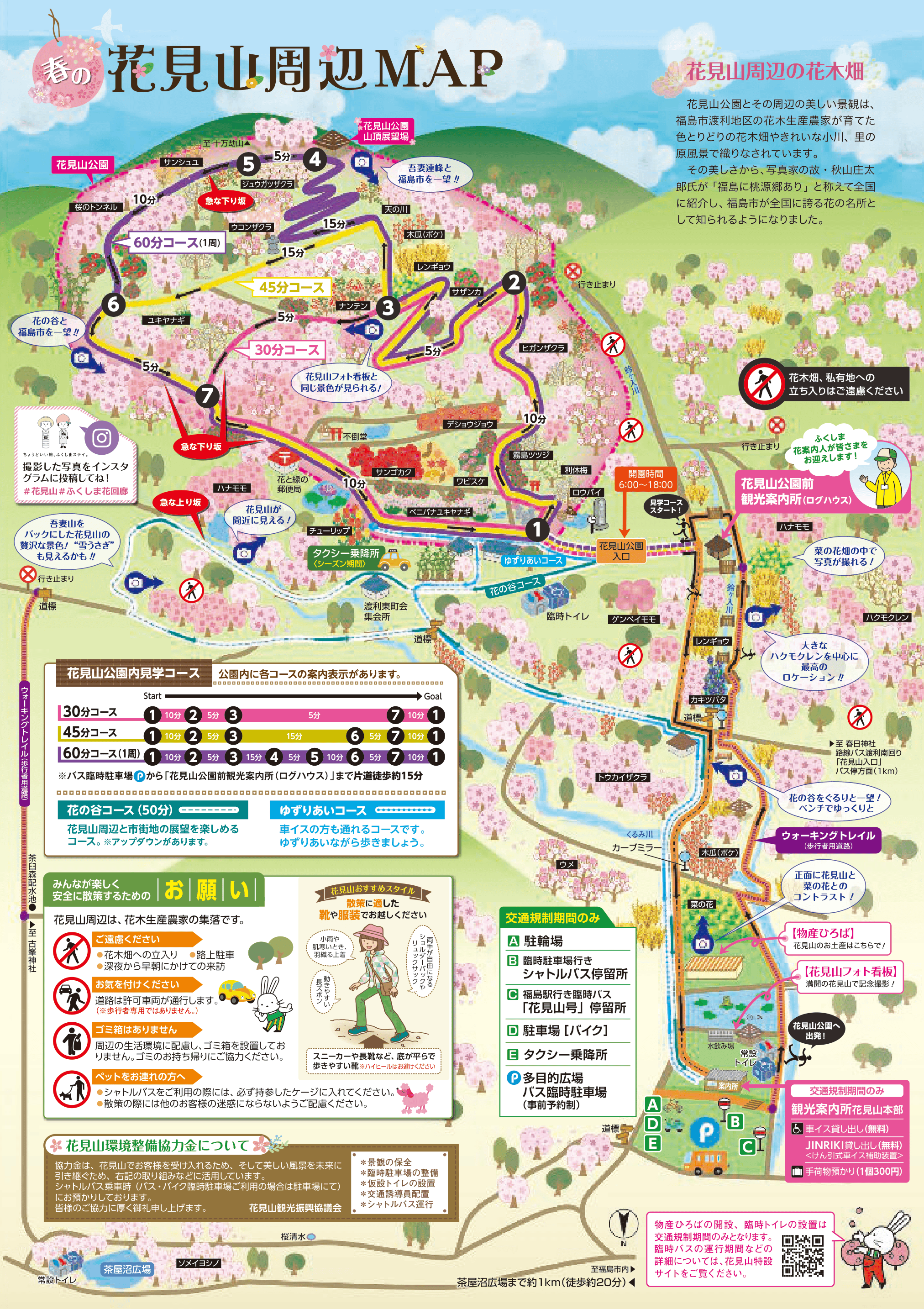 なぜ個人の山が桃源郷に？花見山公園2026最新見頃と交通規制を徹底解説