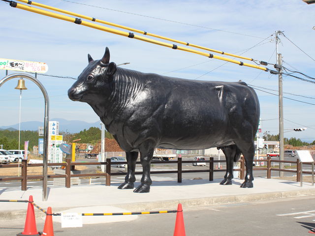 鹿児島黒牛の聖地！「道の駅すえよし」が2026年も圧倒的な支持を集める理由と、地方創生のリアル