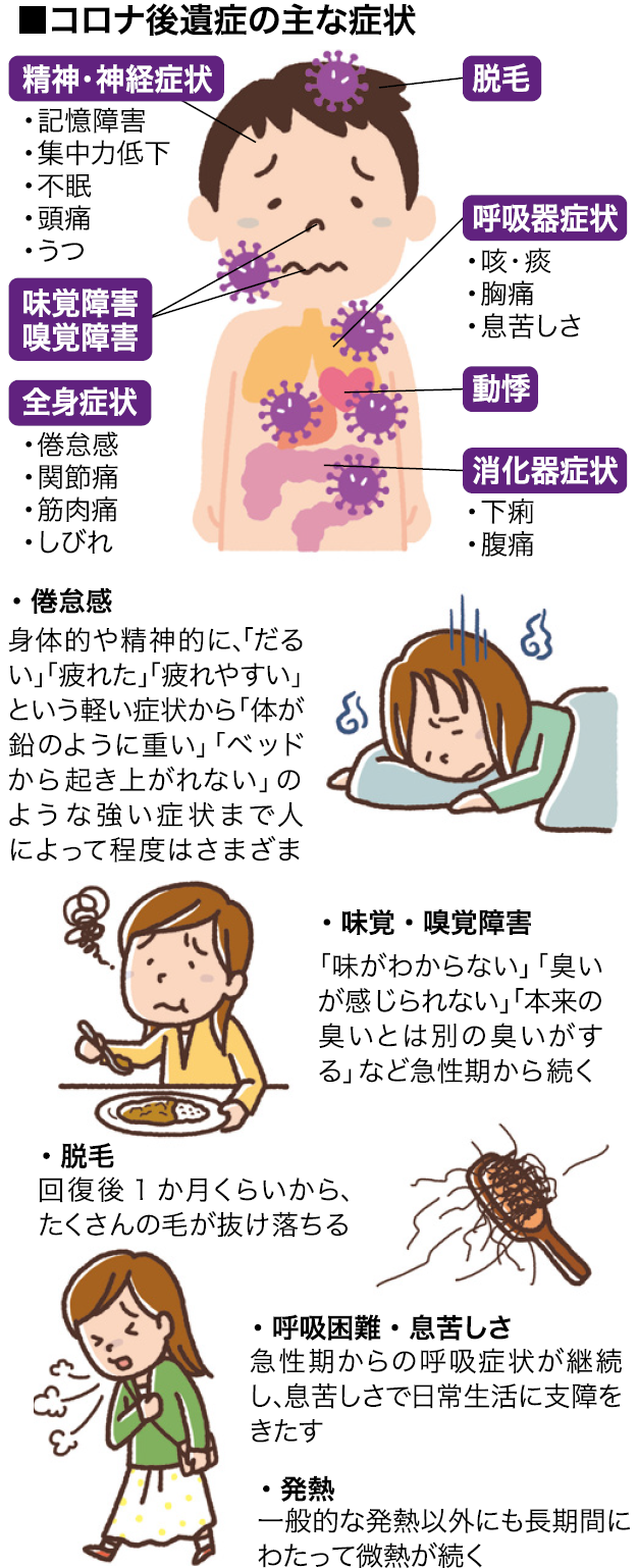 物が歪むのは老眼か？加齢黄斑変性の見え方と2026年最新治療法