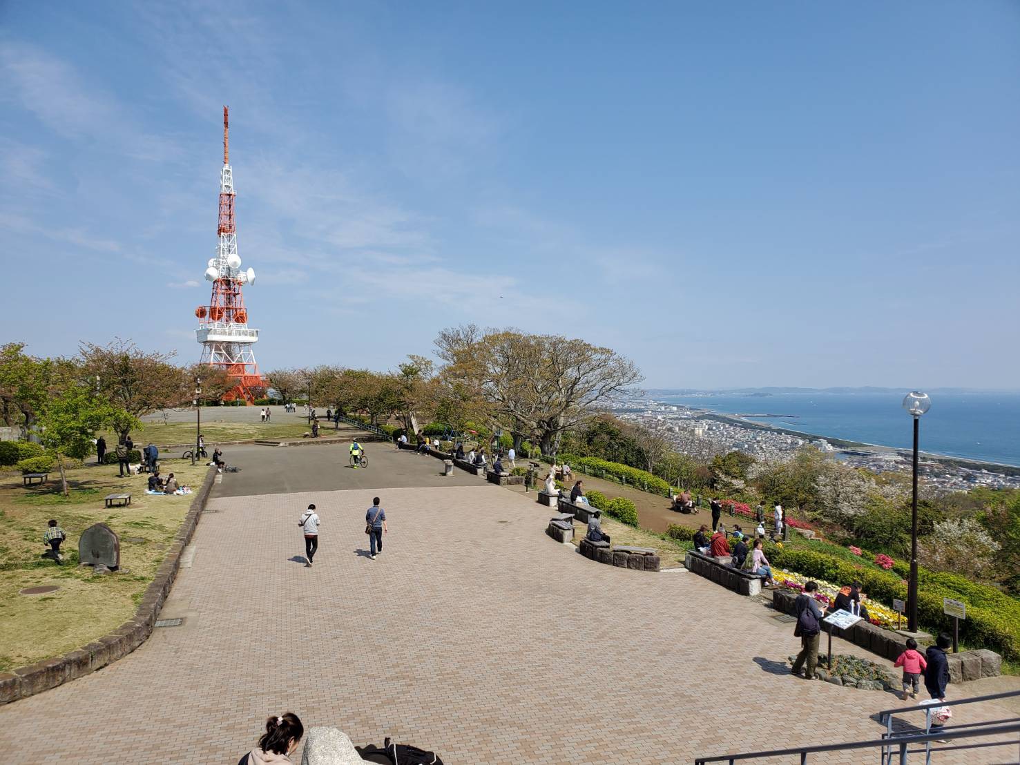 湘南平・高麗山公園の完全ガイド！絶景パノラマから夜景デートまで