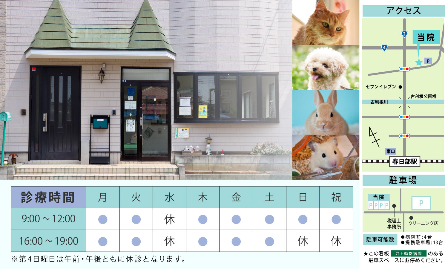 井上動物病院の評判は本当か？丁寧な対応の裏側と診療費を徹底検証