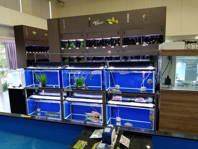 リミックス春日井店の評判と実態！愛好家が通い詰める理由と混雑攻略