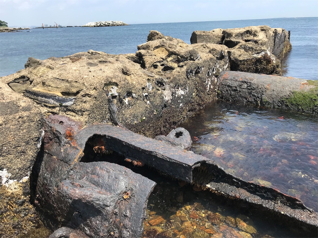 消えゆく戦争遺跡の現在：風化の危機と保存、一般公開スポットを徹底追跡