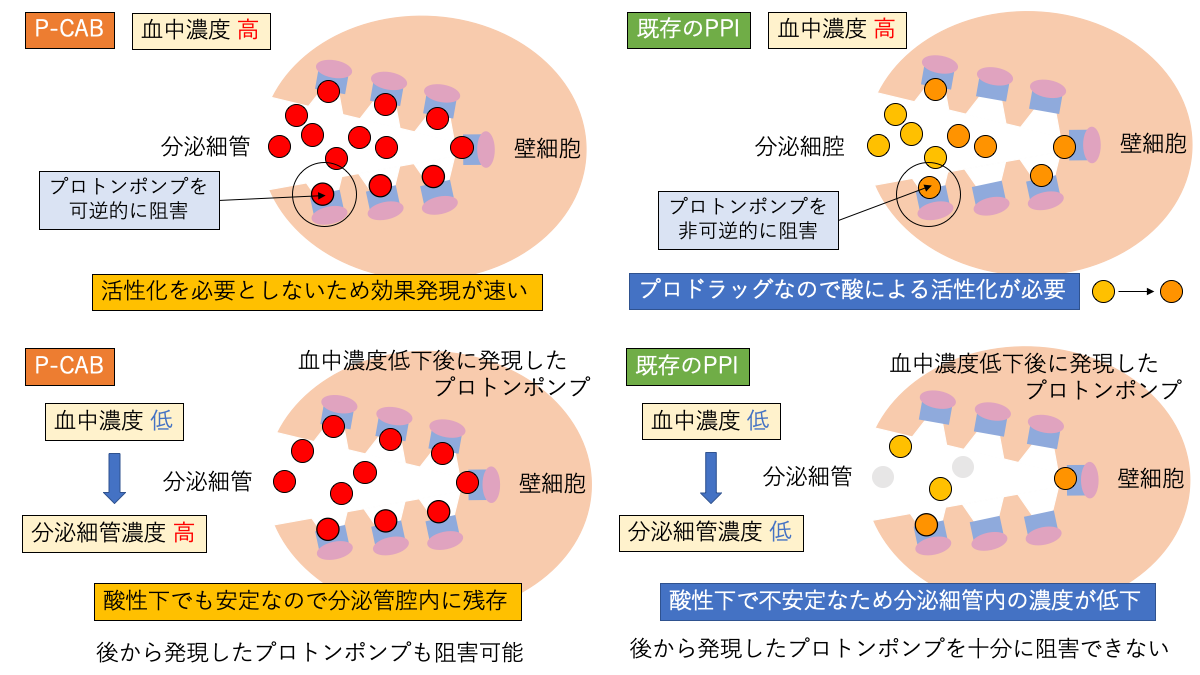 タケキャブ錠の効果と効き始めを徹底解明｜効かない理由や副作用の真実