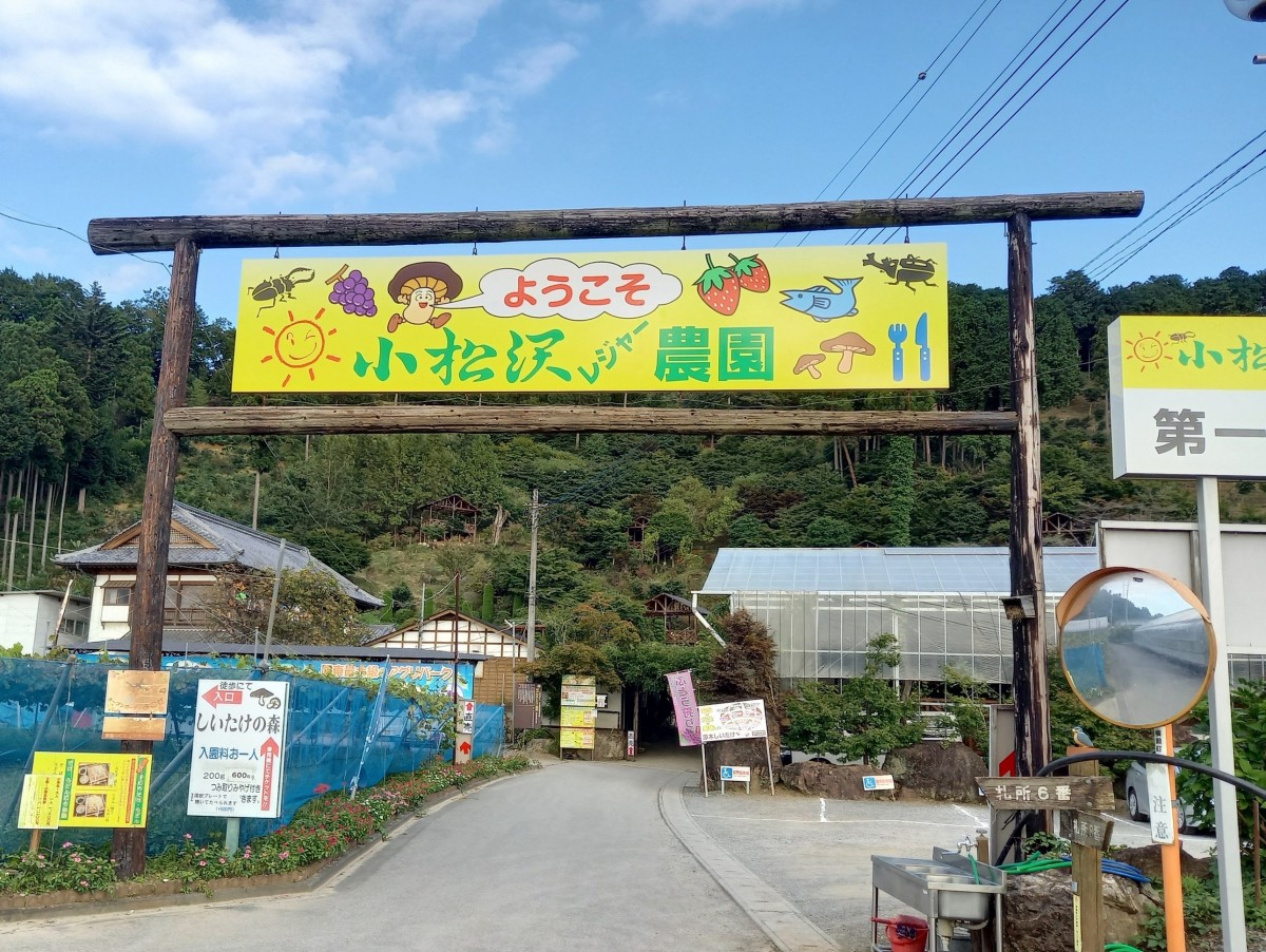 小松沢レジャー農園の評判と裏技！料金・混雑・予約の完全攻略
