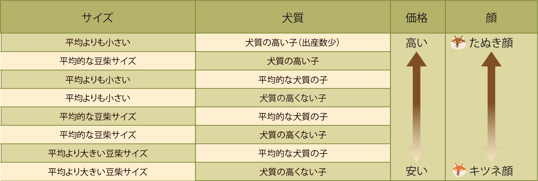 あずき柴の値段相場はいくら？豆柴との違いと高額な理由を徹底解説