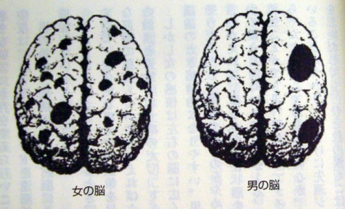 【必見】 男性 脳 女性 脳 診断 人気理由と評判まとめ #871