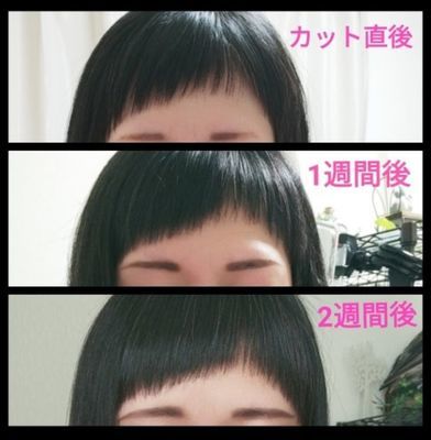 【速報】 前髪 を 切り すぎ た 話題のバズ動画・画像 #646