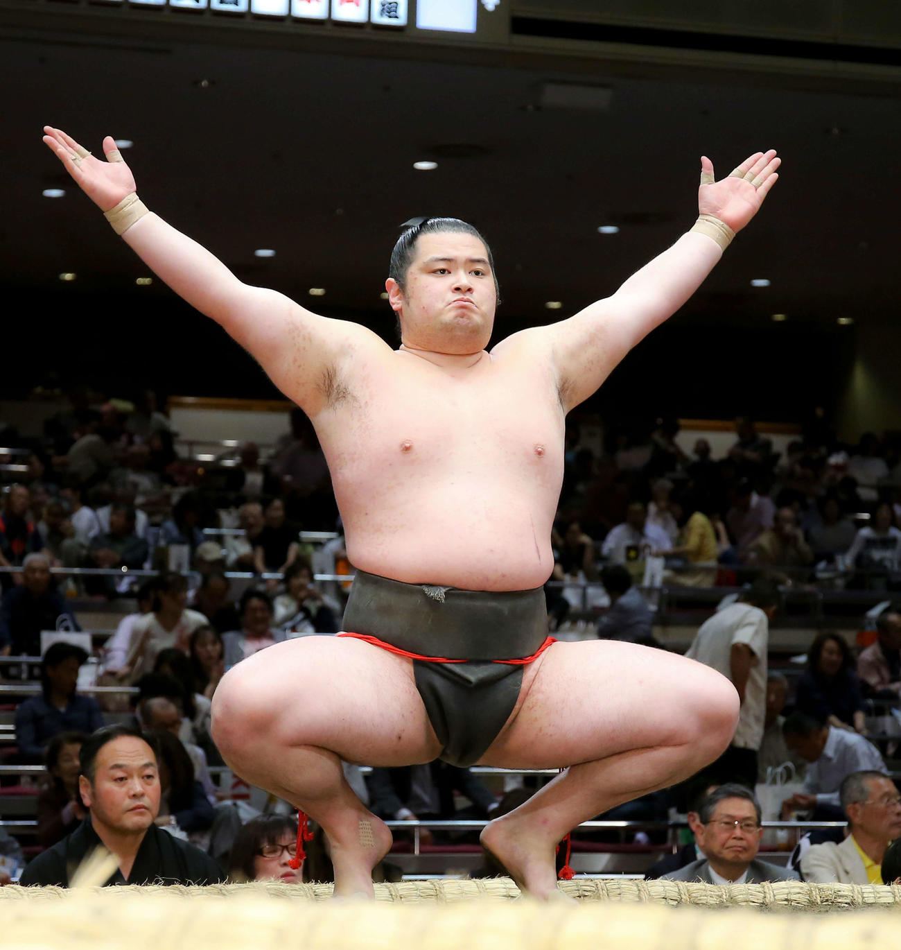 大相撲の名力士・龍虎はなぜタレントへ？怪我の奇跡と電撃転身の真相