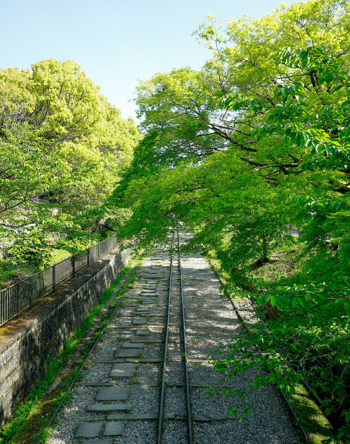 蹴上インクライン桜2026見頃と混雑回避法！南禅寺散策ルート徹底解説