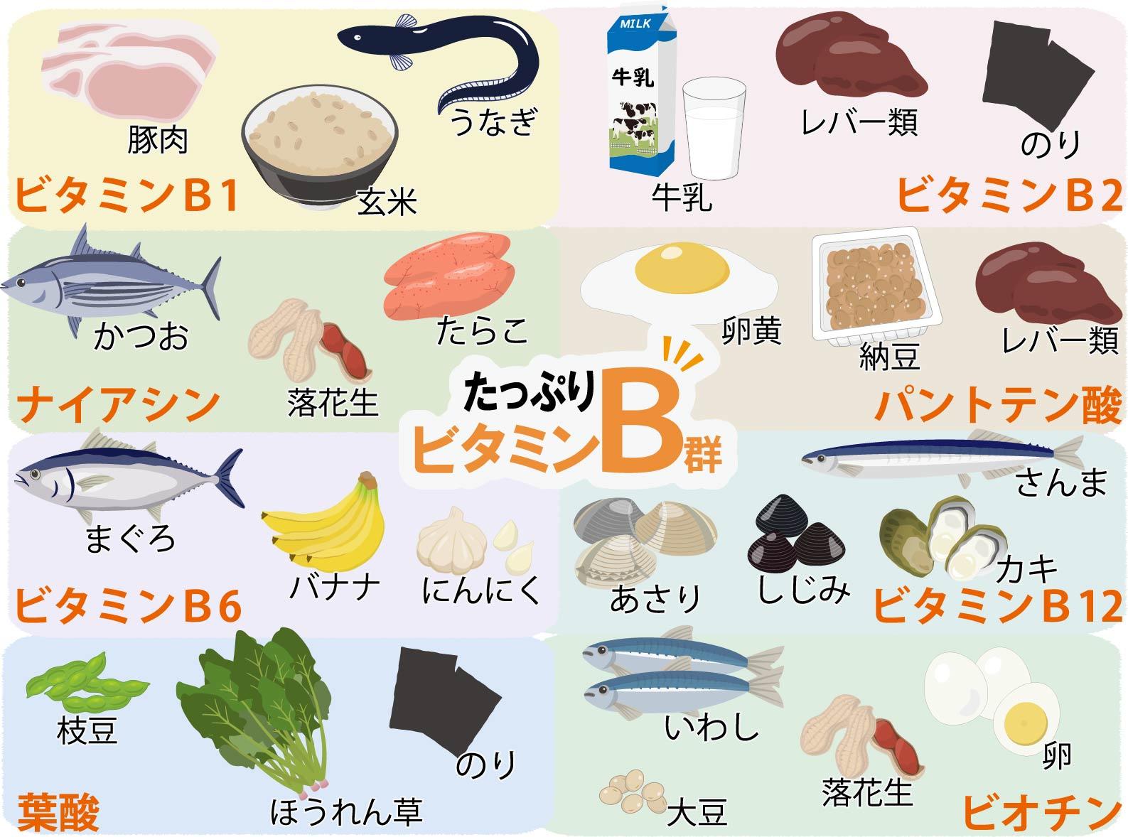 疲れが消えないのはなぜ？ビタミンB食材の効率的な摂り方を徹底解説