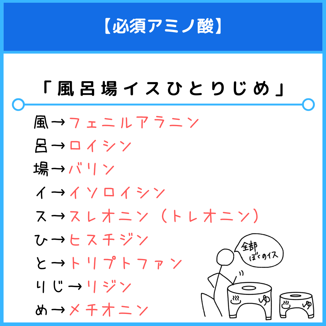 必須アミノ酸の覚え方！国試やテストで得点源にする最強語呂合わせ