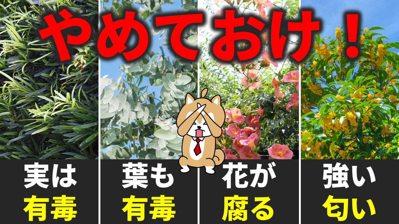【2026年】庭に植えてはいけない草木！家を壊す危険種と後悔の理由