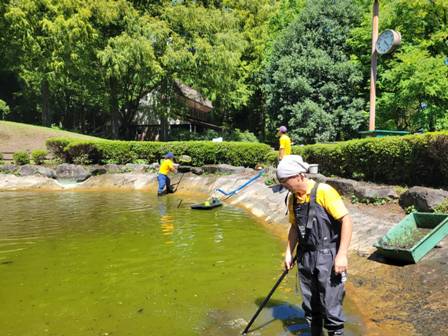 【熱愛】 池 の 水 全部 抜く 最新画像・動画まとめ #628