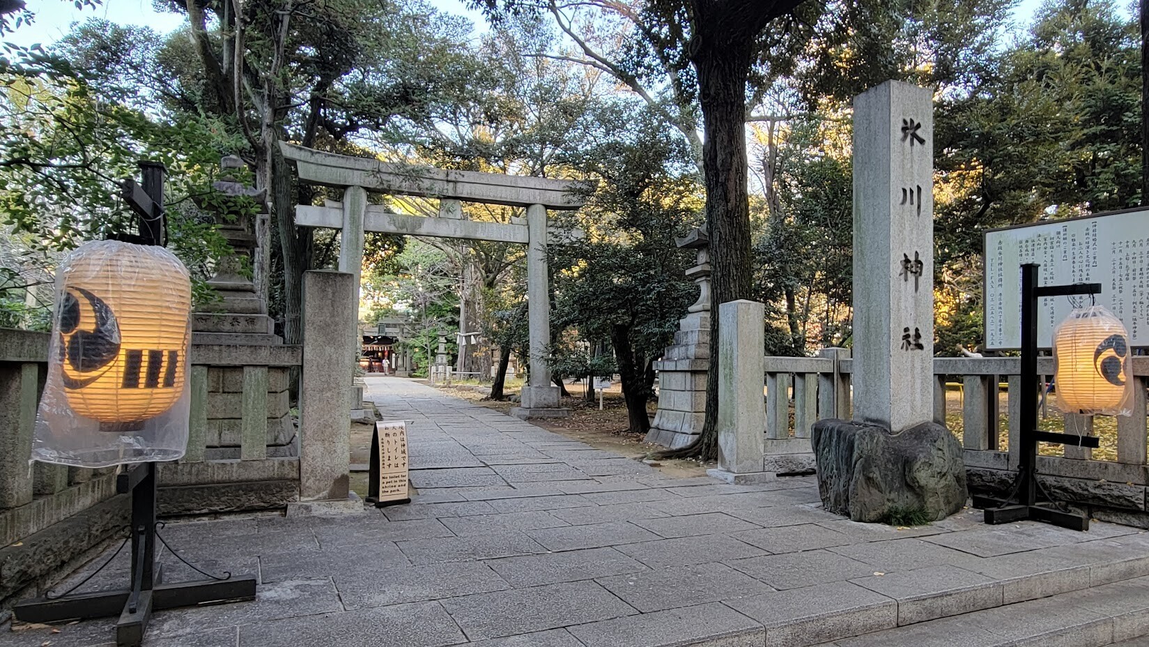 【2026年最新】都心の喧騒を忘れる大人の聖地「赤坂氷川神社」へ――徳川の歴史と強運が息づく緑のオアシス