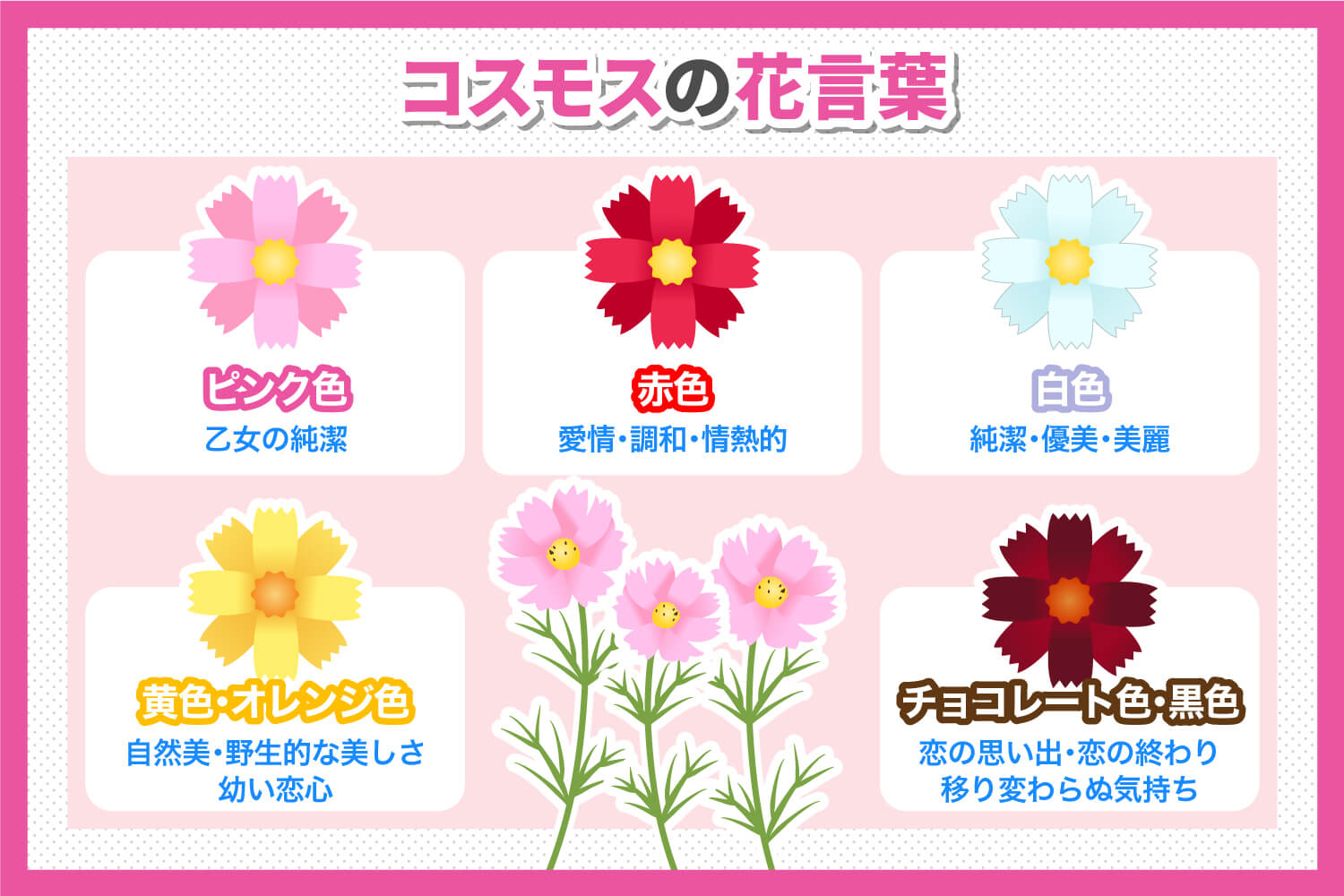 コスモスの花言葉に怖い意味はある？色・本数別の真相と由来を徹底解説