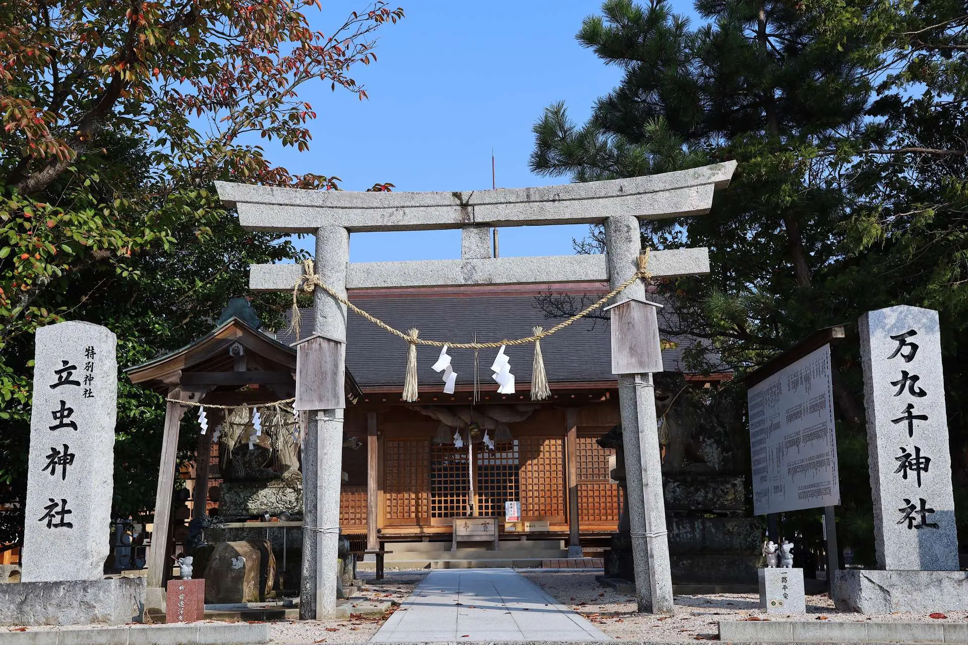 万九千神社の謎とご利益｜神々が集う最後の聖地・参拝順序徹底ガイド