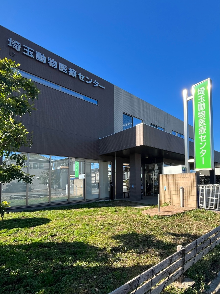 埼玉動物医療センターの評判と費用を徹底解剖！夜間救急・紹介状の真相