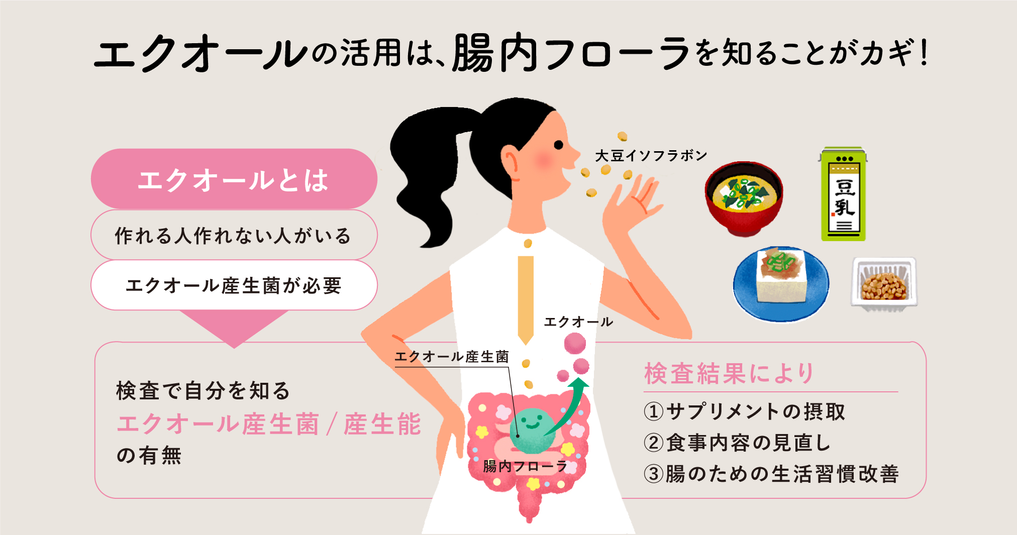 エクオールを作れる人の特徴と腸内環境の決定打！日本人半数の真実