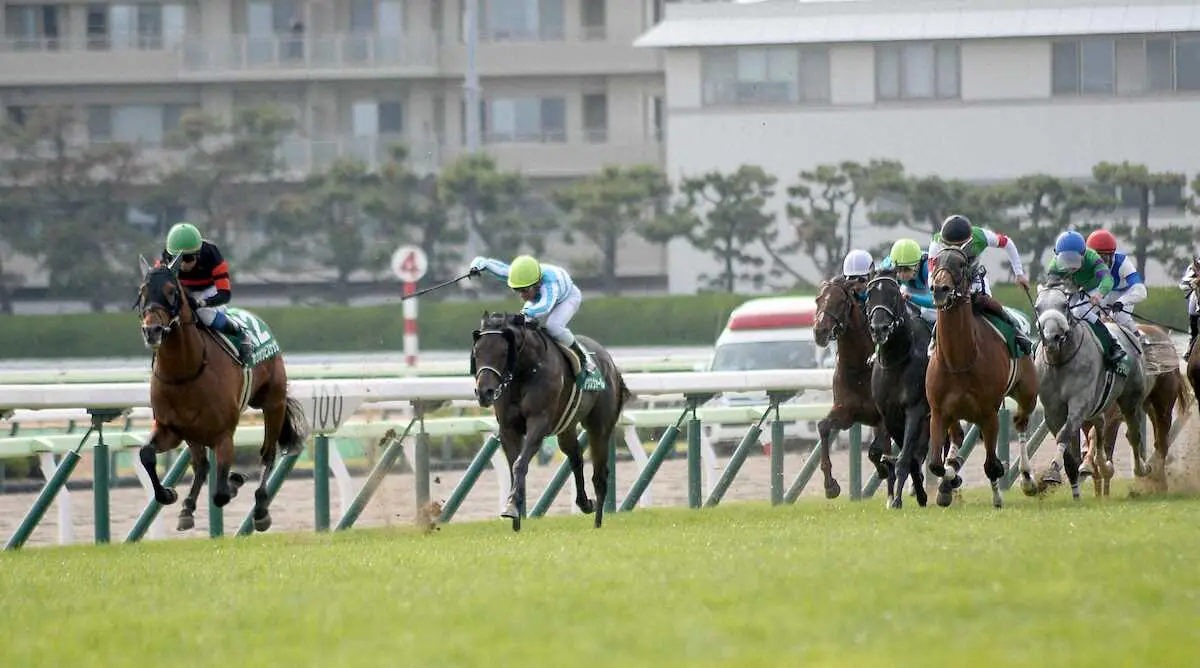荒れる洋芝に潜む激走穴馬！函館記念を制する極秘データを独占公開