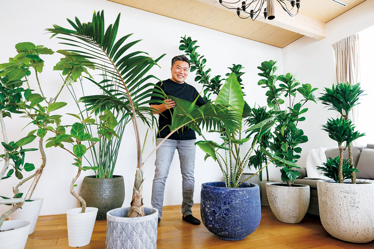 プロが厳選する観葉植物の種類2026！初心者向け人気品種と選び方