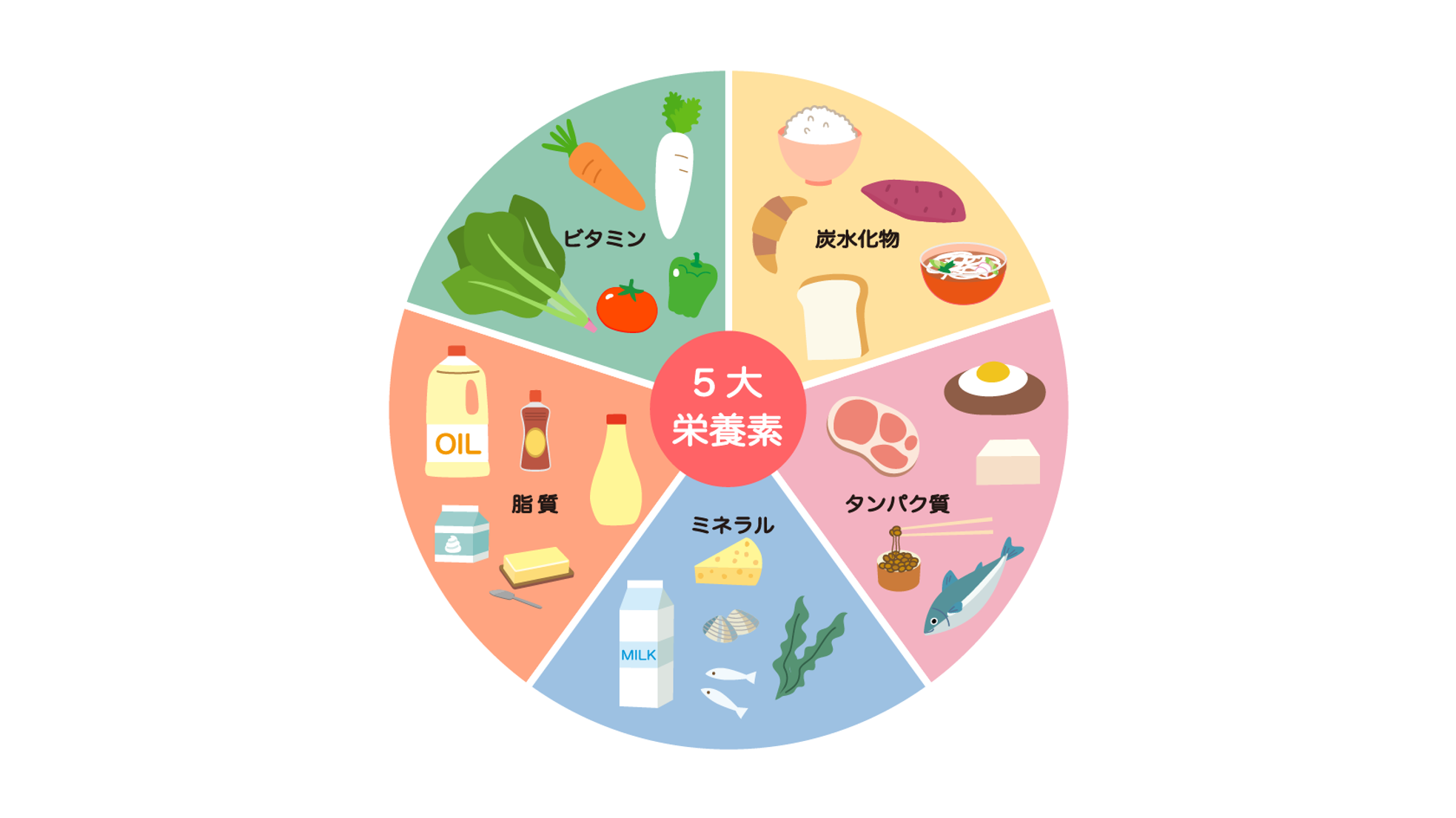 痩せ体質を作る三大栄養素の黄金比とは？失敗しないPfcバランス徹底解説
