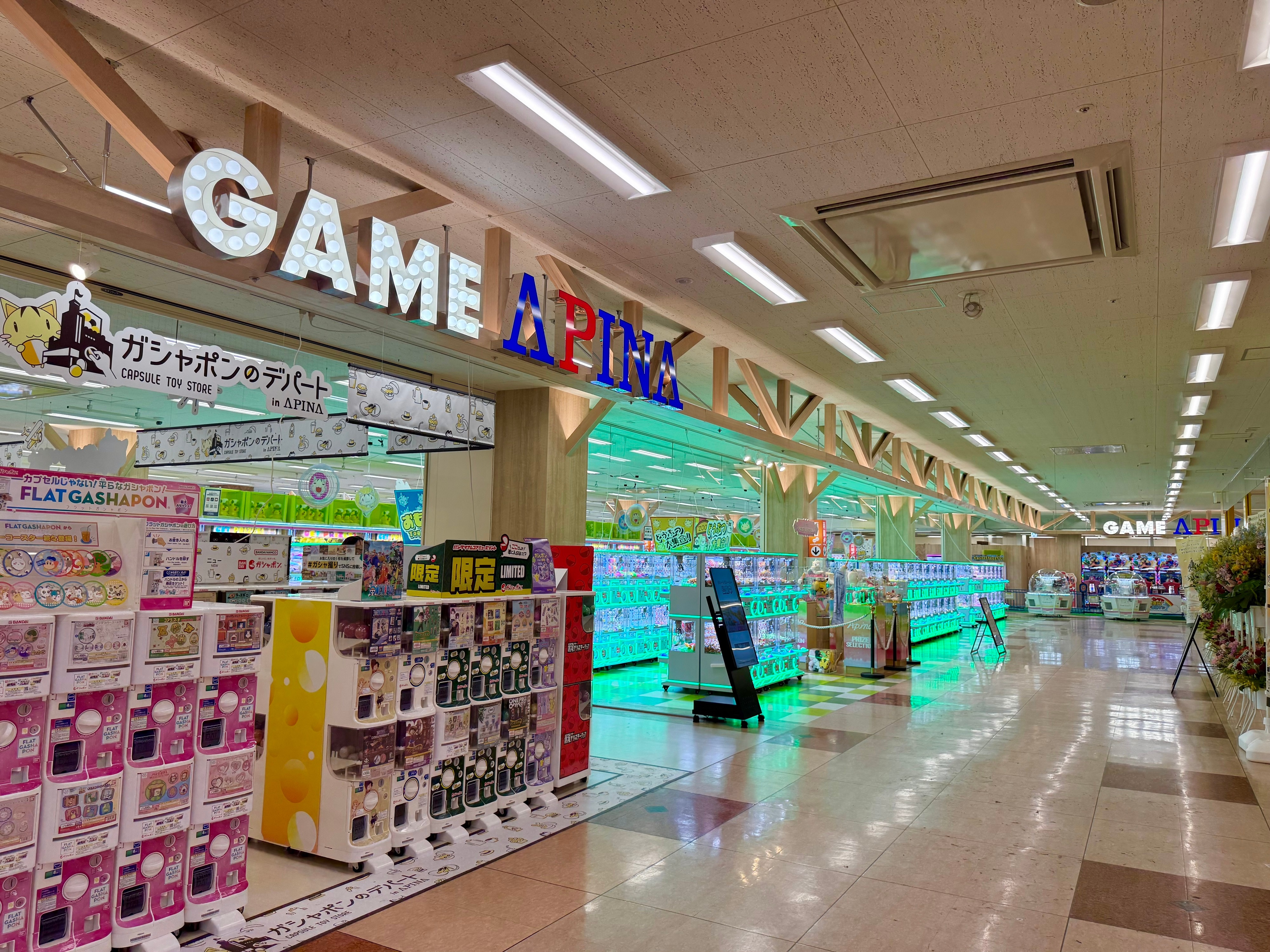 美濃加茂ドンキ徹底解剖｜アピタ激変の舞台裏と2026年最新攻略術