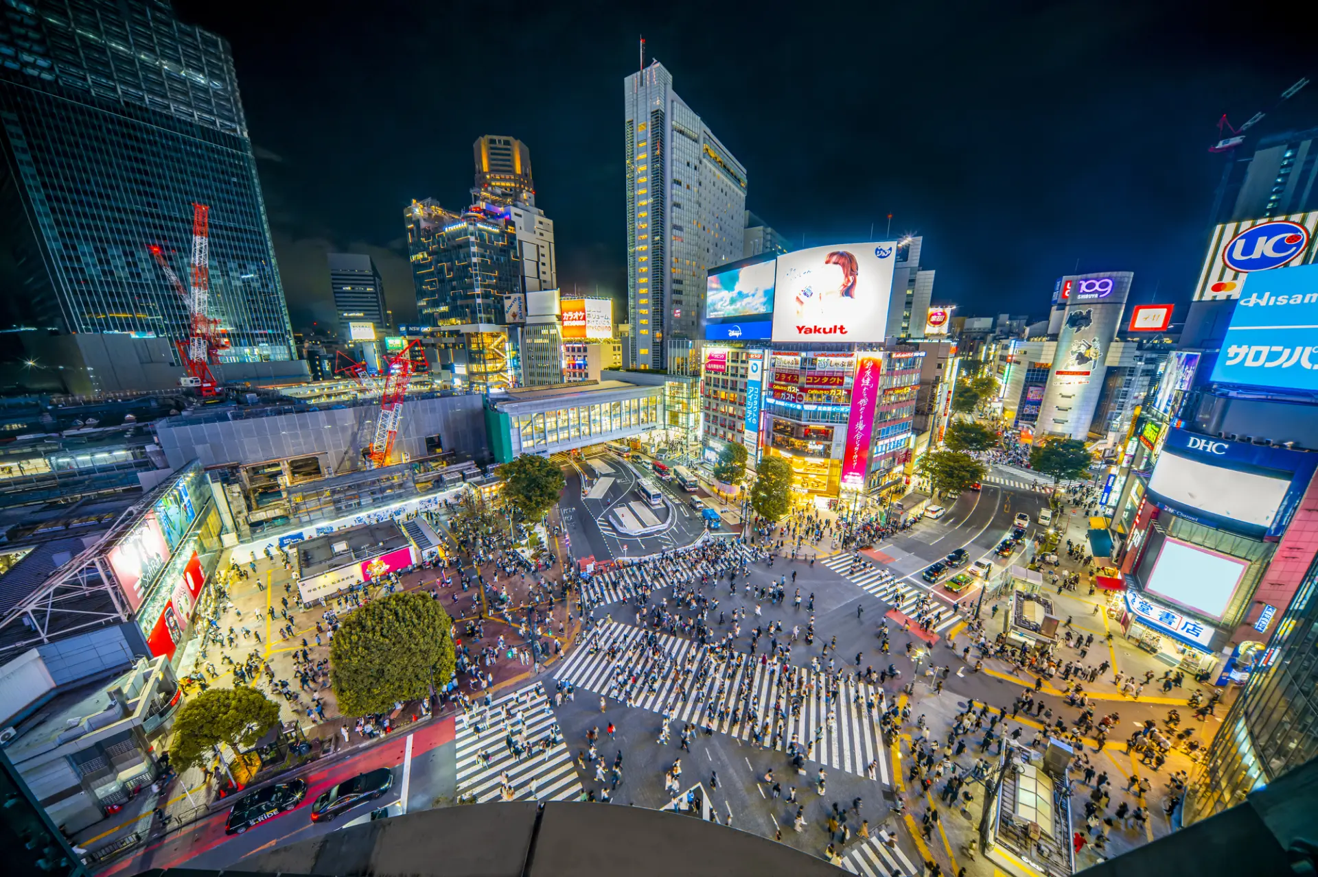 【2026年最新】東京夜観光・夜遊び完全攻略ガイド
