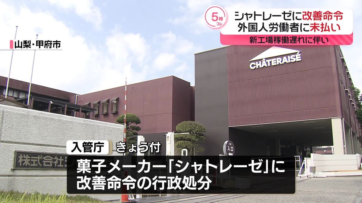 シャトレーゼ報道の真相と2026年最新動向｜自主回収から再起の全貌