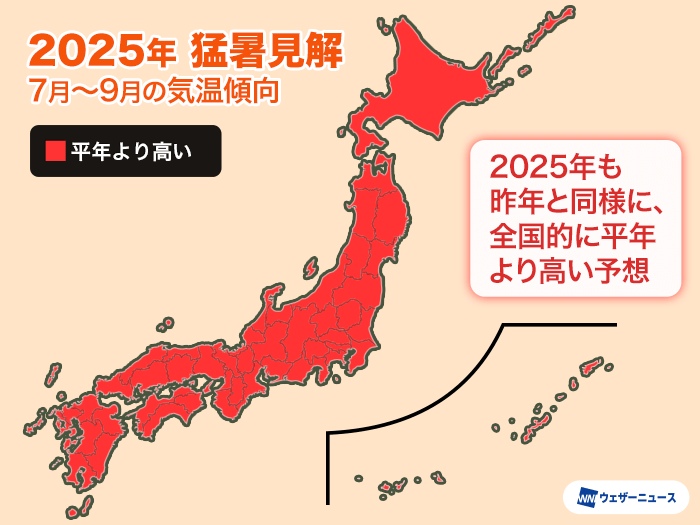 【2026年最新】猛暑を乗り越えた新米を劇的に変える！プロが明かす「極上の家庭炊飯術」