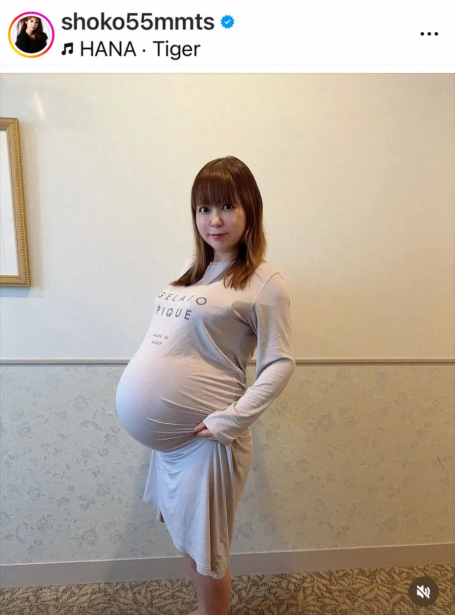 中川翔子の妊娠と双子出産の真相！夫との絆と不妊治療の全軌跡