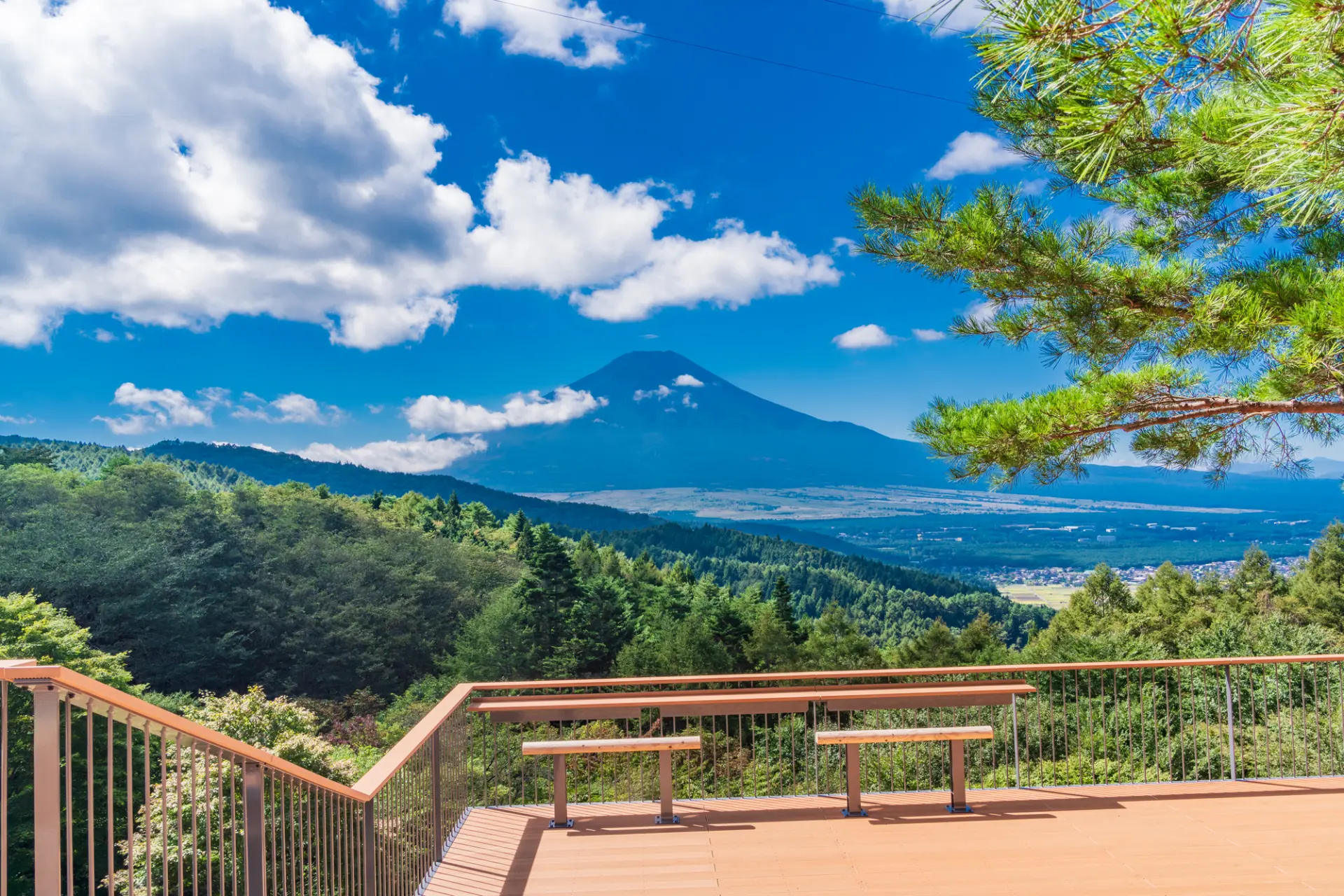 富士山を望む絶景と進化する体験価値。2026年、なぜ「ソレイユの丘」は人々を惹きつけ続けるのか？
