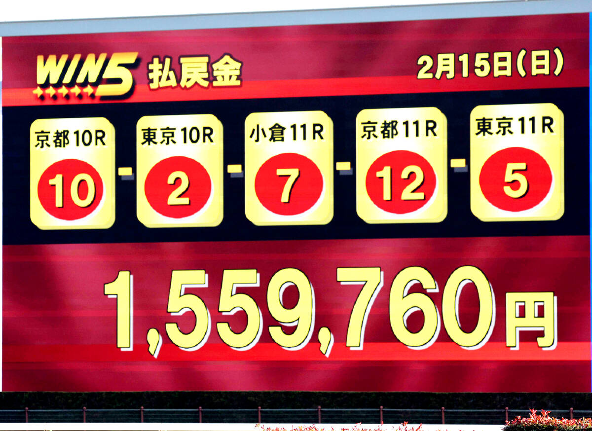 Win5過去最高5.5億円の衝撃！歴代結果データと2026最新攻略