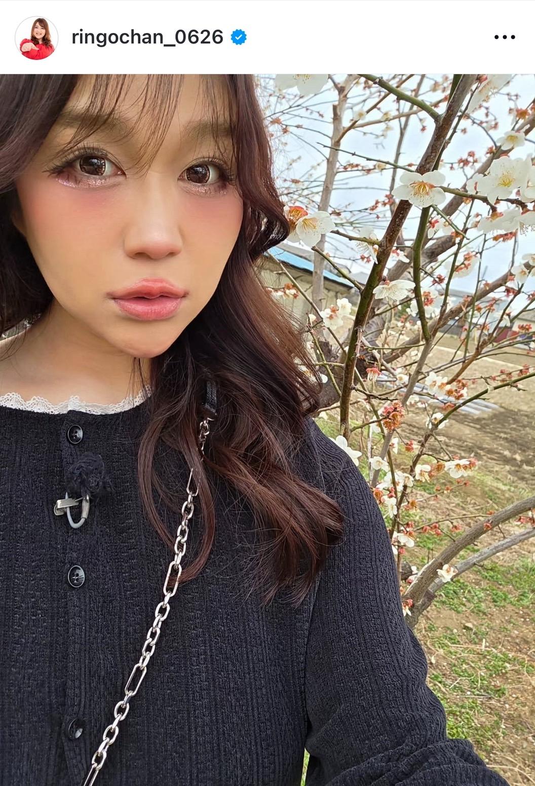 りんごちゃんが痩せた本当の理由とは？激変の真相と減量幅を徹底解説