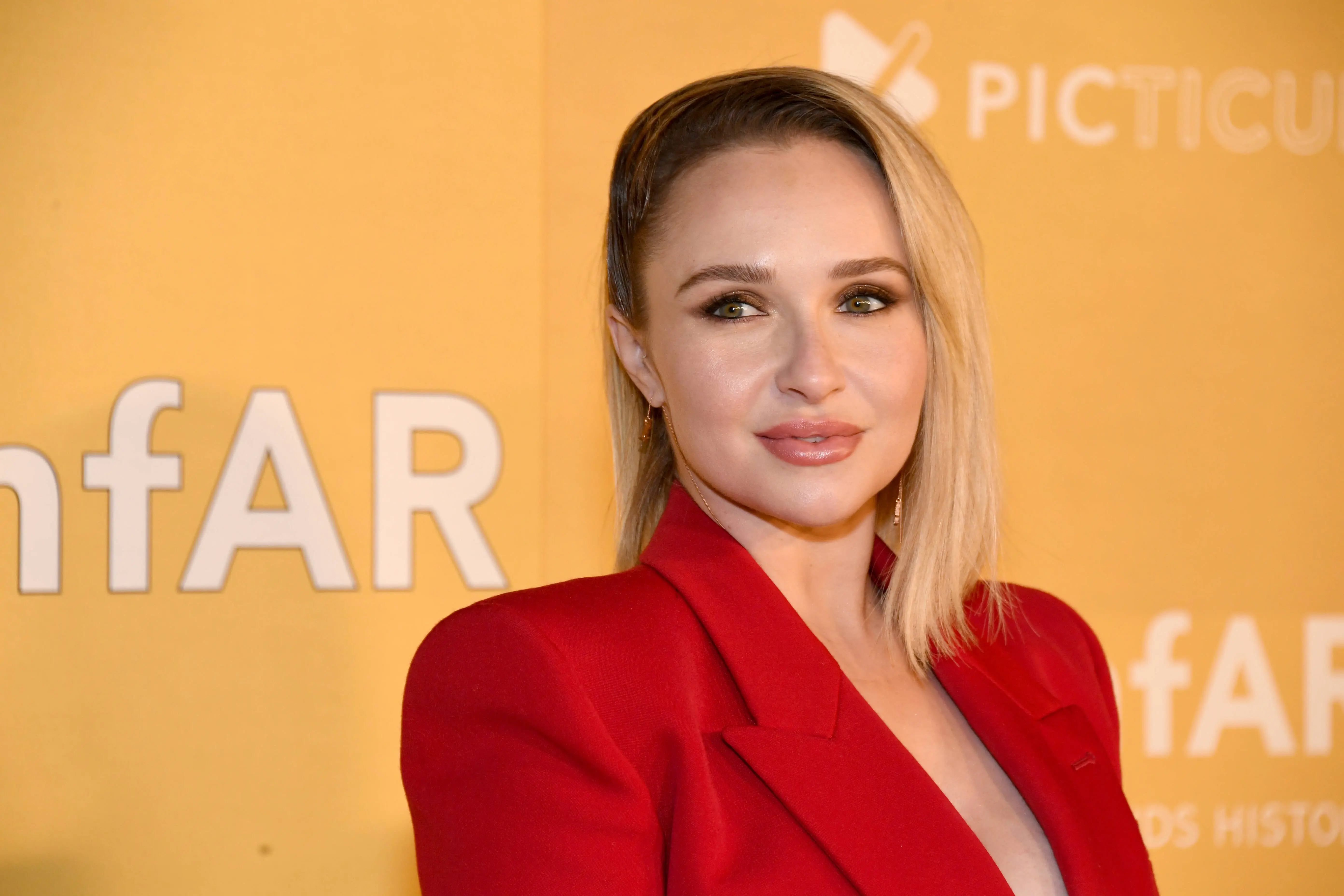 What Did Hayden Panettiere Play In