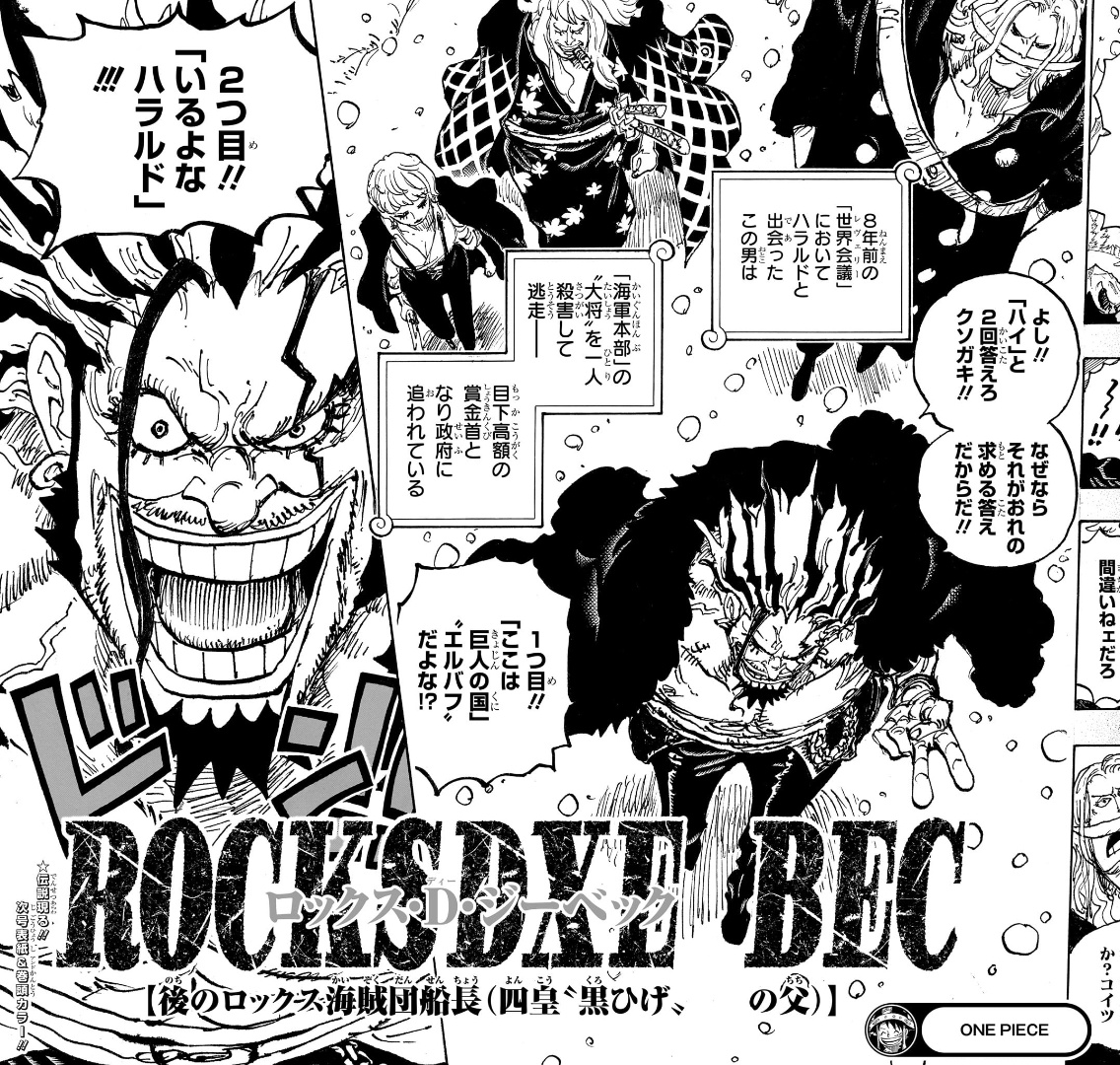 ロックスと黒ひげの血縁関係は？親子説と受け継がれる意志の全真相