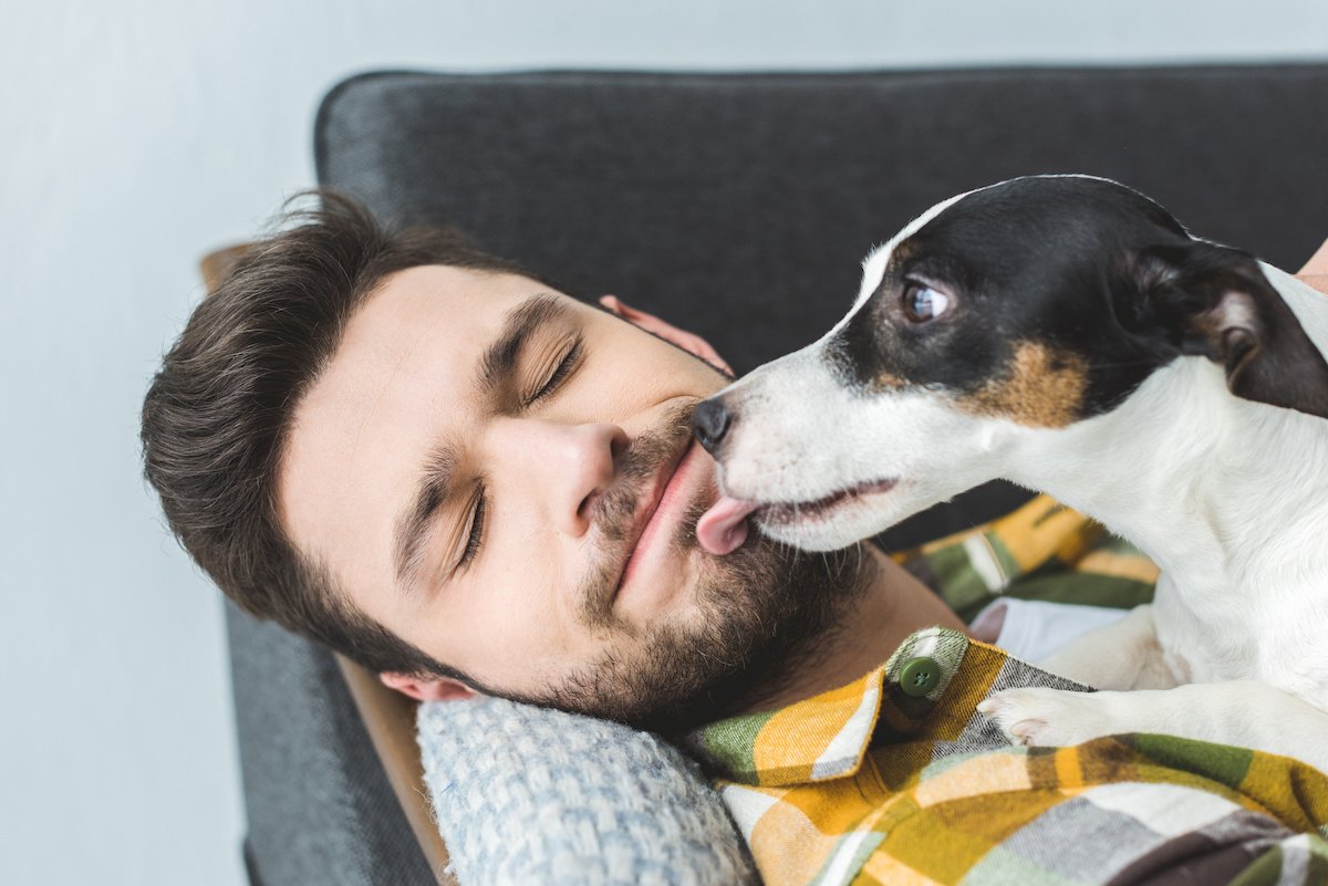 愛犬のペロペロが止まらない原因と危険な病気サイン【徹底解説】