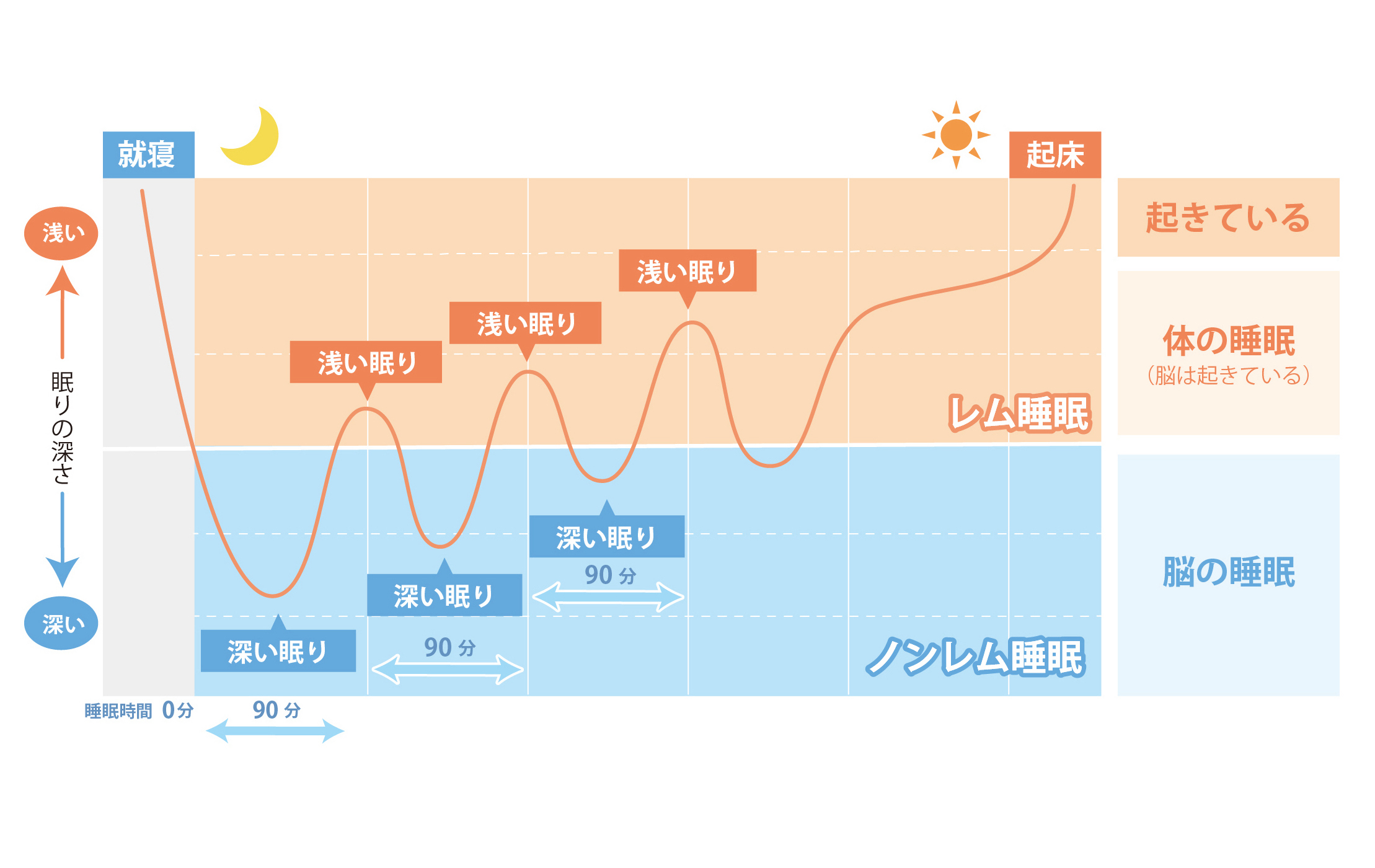 睡眠が浅い原因を解明！夜中に目が覚める理由と2026年最新の熟睡法