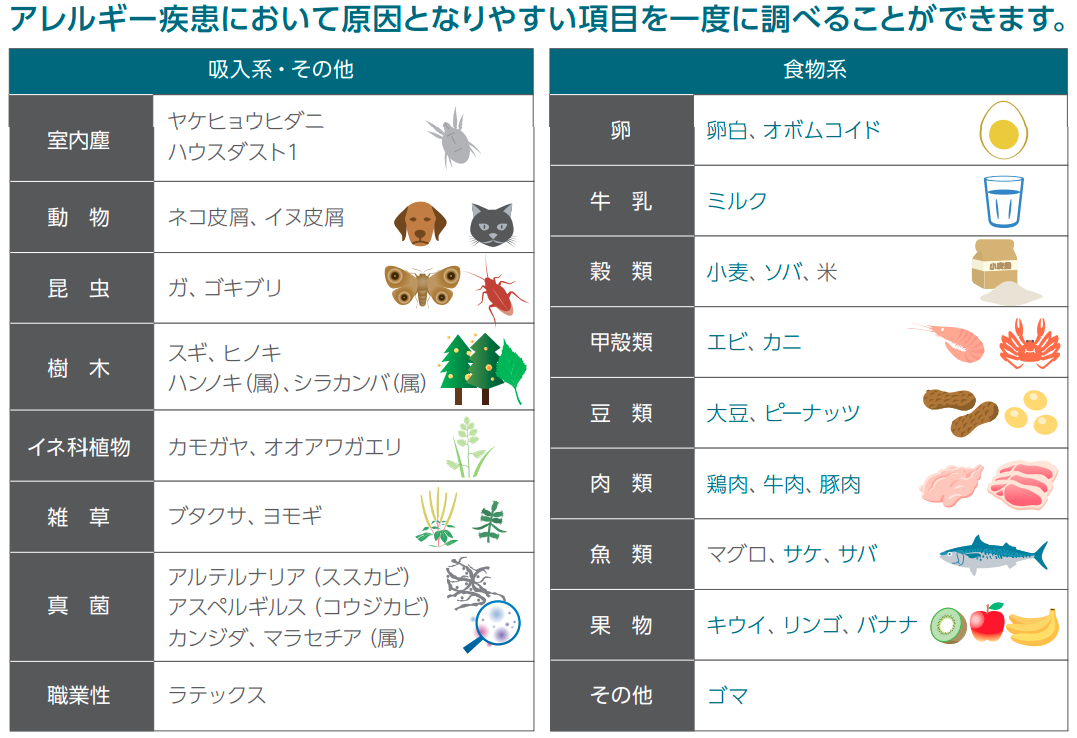 花粉症は何科に行くべき？耳鼻科・内科・眼科の選び方と2026年最新治療