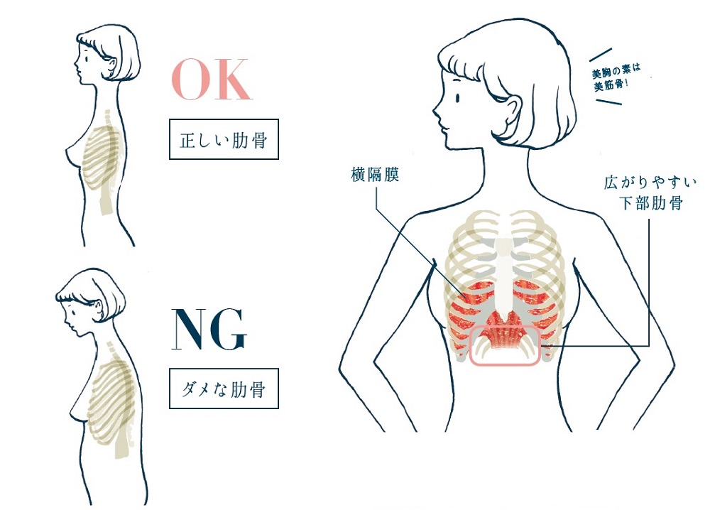 「肋骨が出ている女性」なぜ話題に？Sns炎上の真相と骨格のリアル