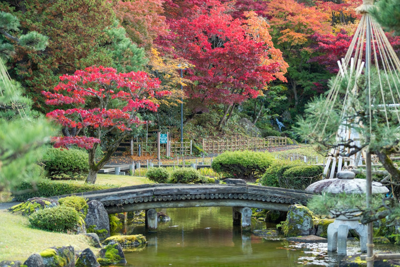 弘前・藤田記念庭園の魅力徹底解剖！大正喫茶と名園を味わう完全ガイド