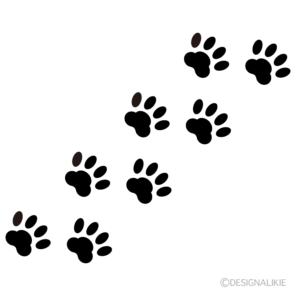 庭や雪道に残る犬の足跡！猫や野生動物との決定的な違いと見分け方