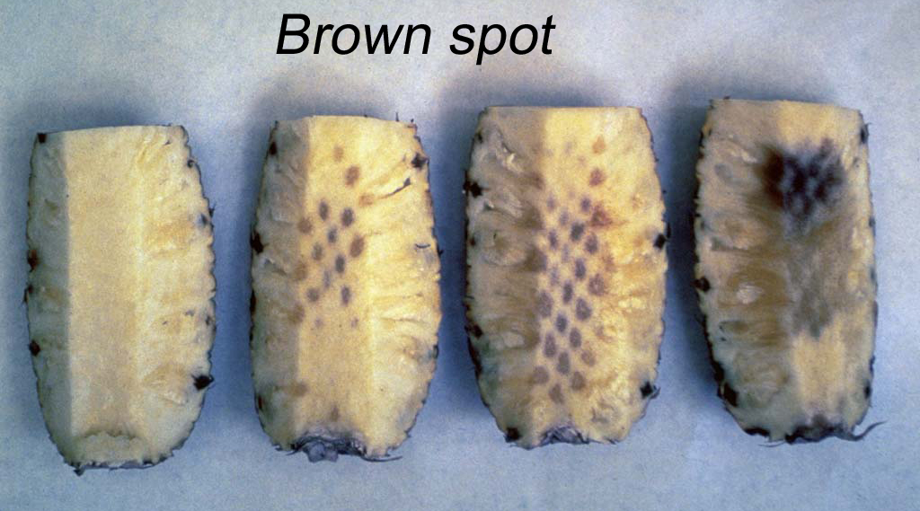 Is Brown Pineapple Bad